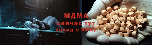 прущие грибы Каменка