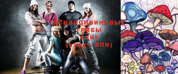 прущие крисы Каменногорск