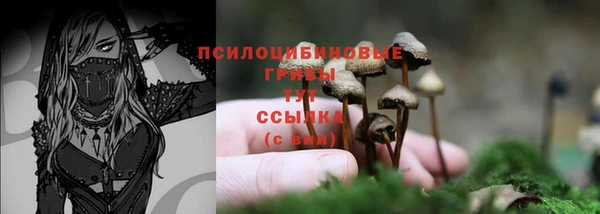 дживик Каменск-Шахтинский