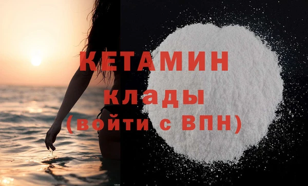 прущие грибы Каменка