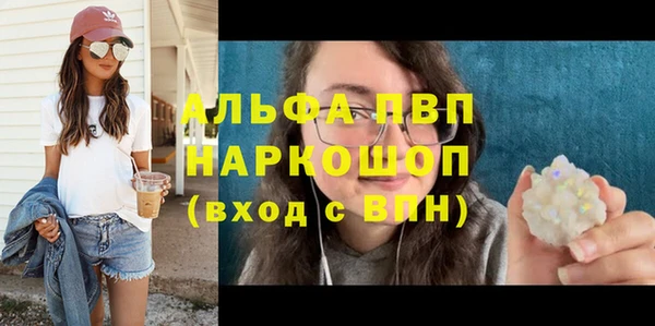 прущие грибы Каменка