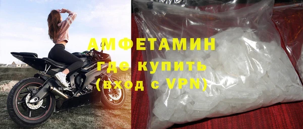 прущие грибы Каменка
