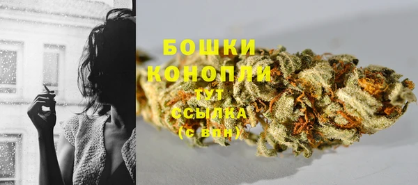 прущие грибы Каменка