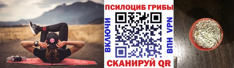 Купить закладки  Лянтор  Галлюциногенные грибы Magic Shrooms 