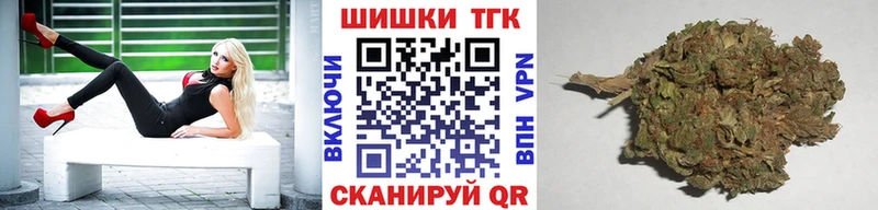 Конопля сатива  Купить  Лянтор 